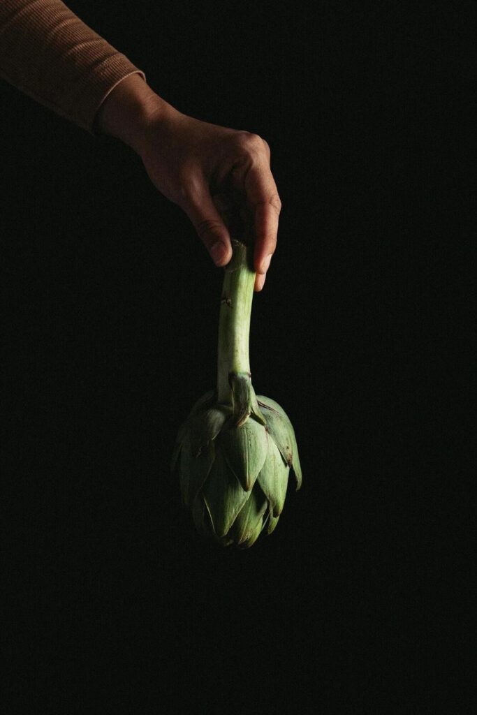 The Artichoke